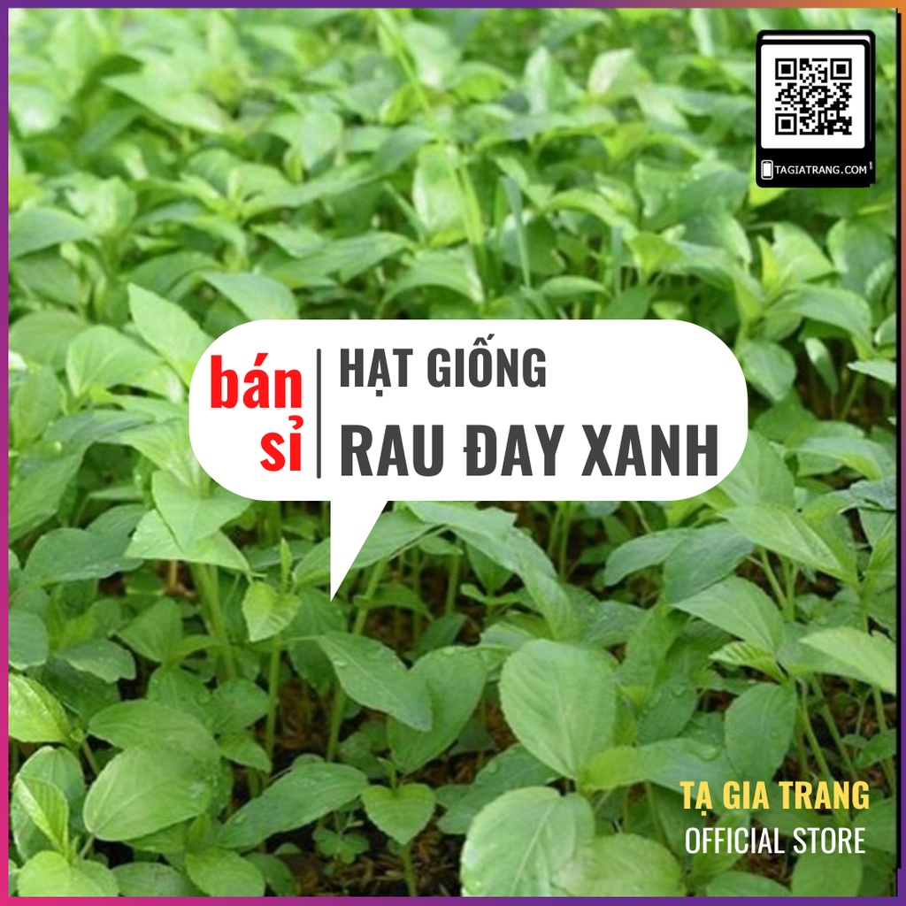 [Bán sỉ] - Hạt giống rau đay xanh (rau đay trắng)