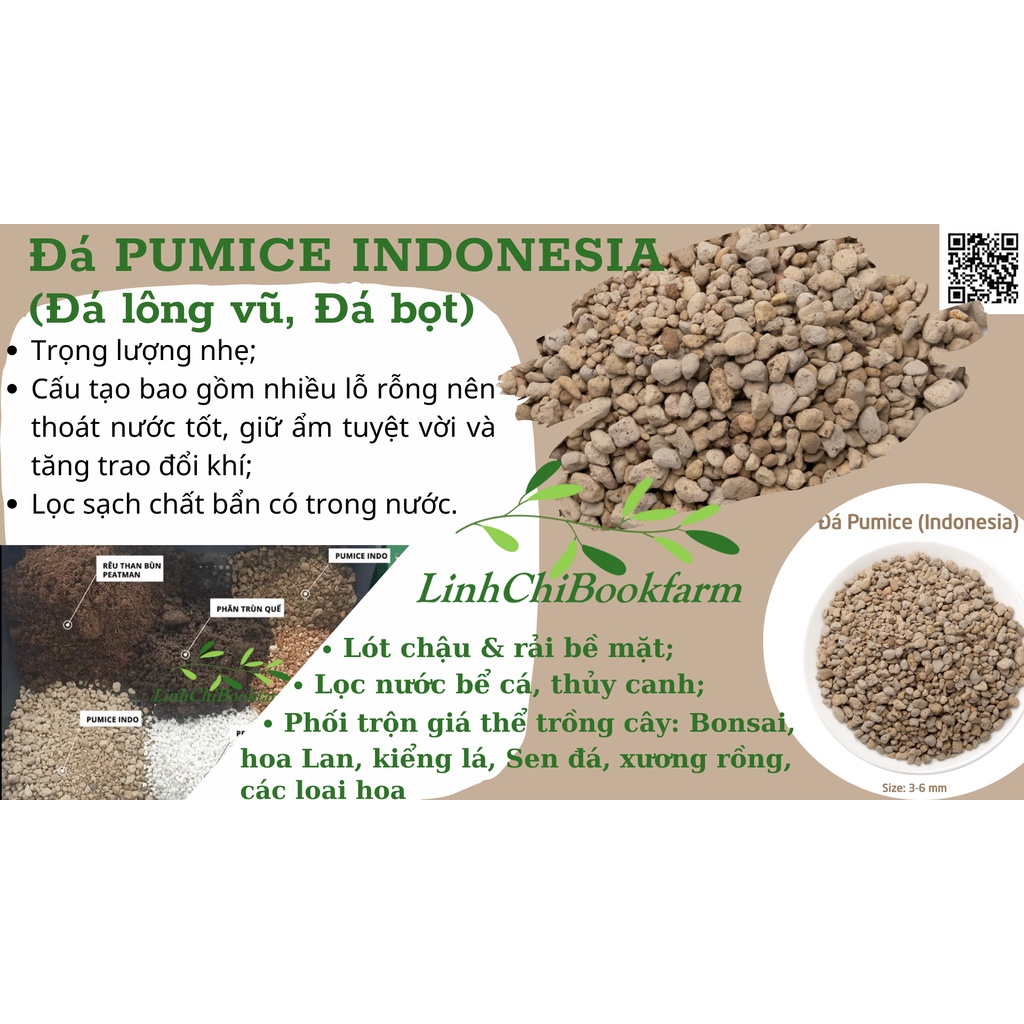 1kg đá PUMICE size 3-6mm dùng lót chậu sen đá, lọc nước bể thủy sinh
