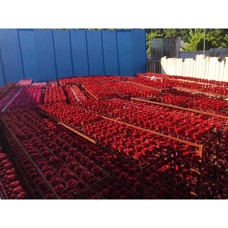 Hoa nhũ, hoa kim tuyến giá sỉ bông đều, siêu đẹp chuẩn hàng Trung