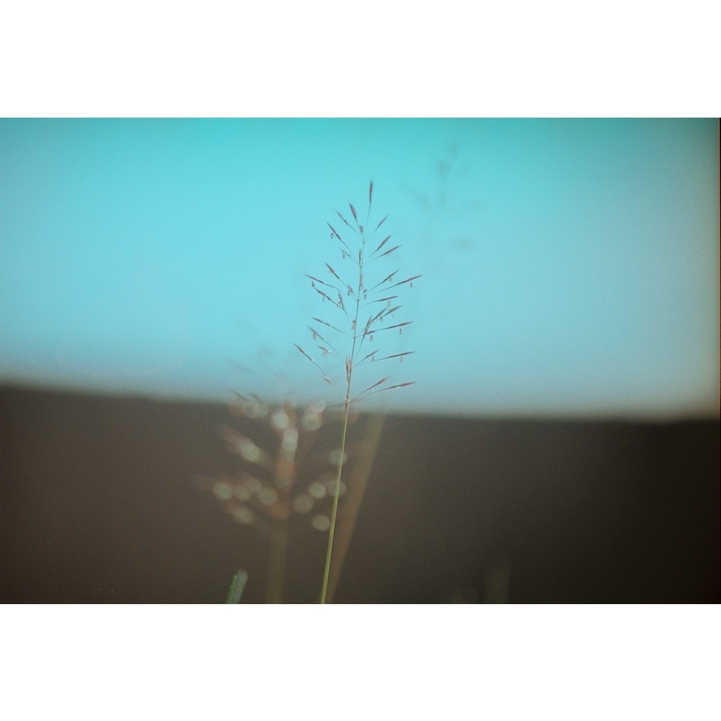 Ống kính máy ảnh Rokinon 80-200mm f4.5 MF Macro for Canon FD  - 17396