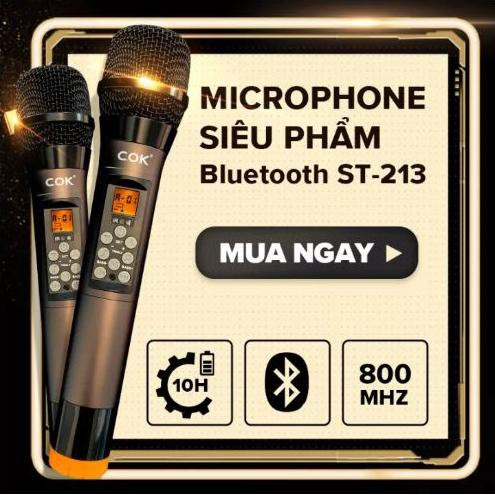 Micro Không Dây cao cấp C.O.K ST-213 (2 Micro) [Phù Hợp Với Mọi Loa Kéo & Dàn Âm Ly, Jack 6.5, Bắt Âm Tốt] Hàng mới 100%