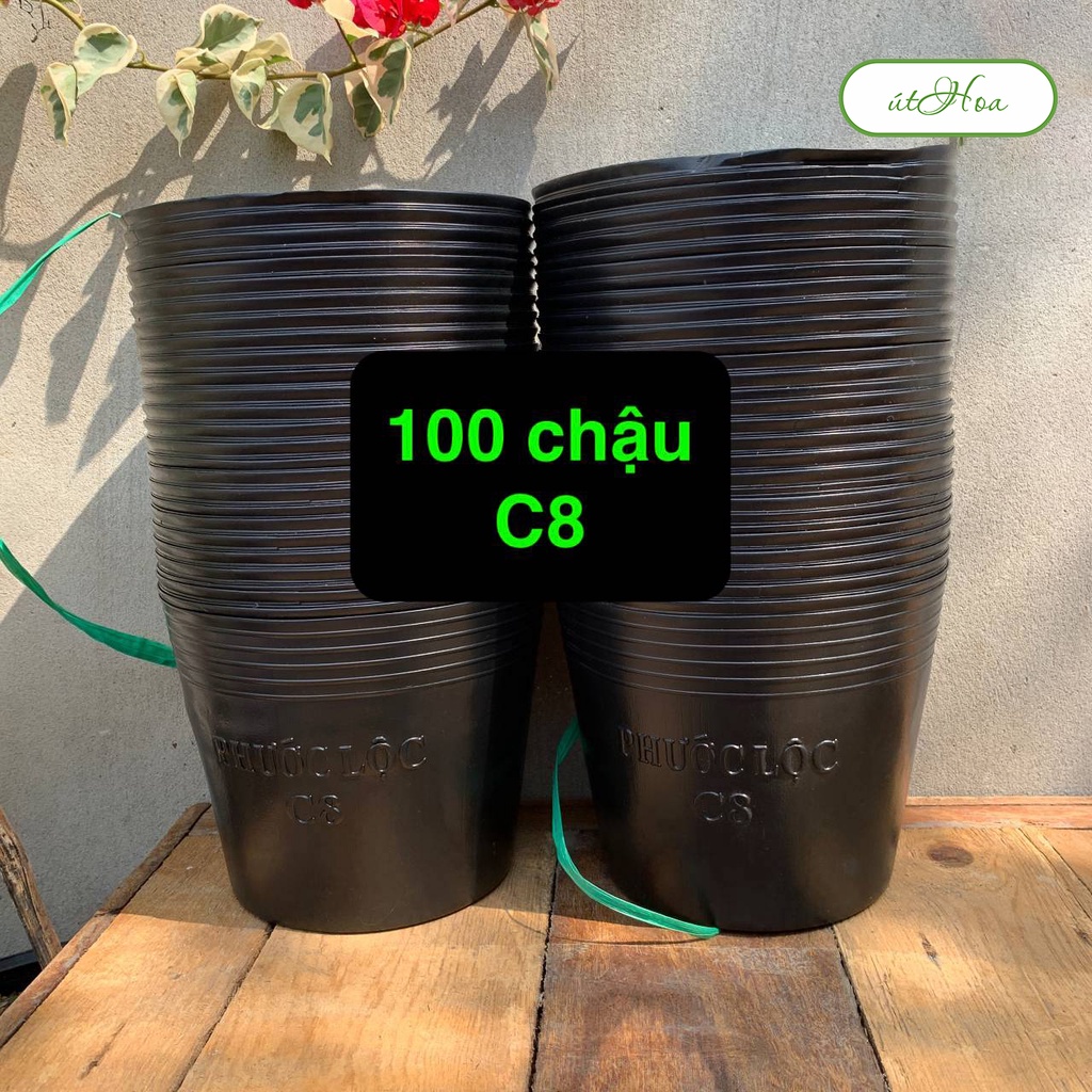 100 Chậu nhựa đen C8 trồng cây, trồng hoa, ươm cây (dày)