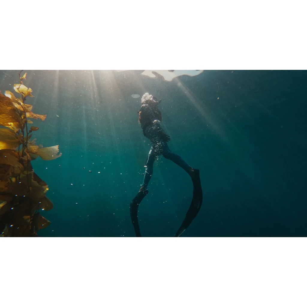 Gopro Hero 11 Black | Hàng full box | Nhập khẩu chính hãng