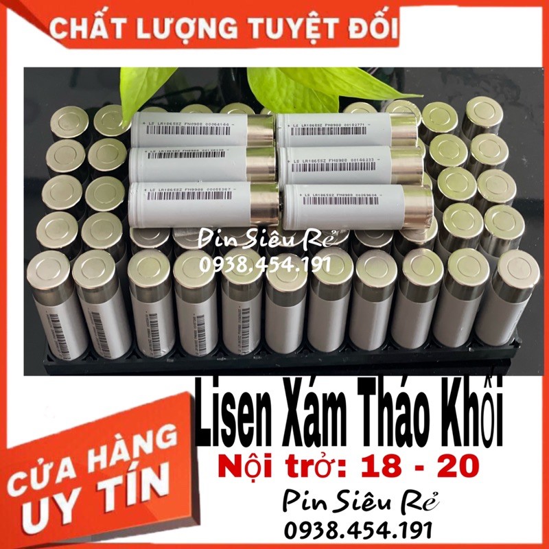 Lisen Xám tháo khối