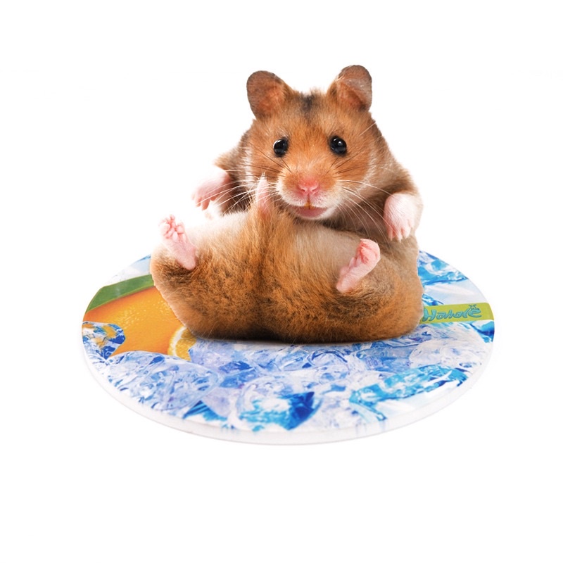 Miếng sứ làm mát cho hamster ,in hình đá chanh mát lạnh. Miếng sứ làm mát hahale
