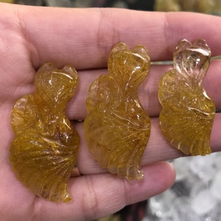 Hồ ly tóc vàng đuôi xoè