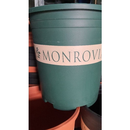 chậu MONROVIA 5GL trồng hoa hồng siêu đẹp đường kính 27cm