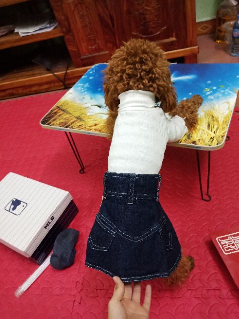 Chân váy bò cho cún