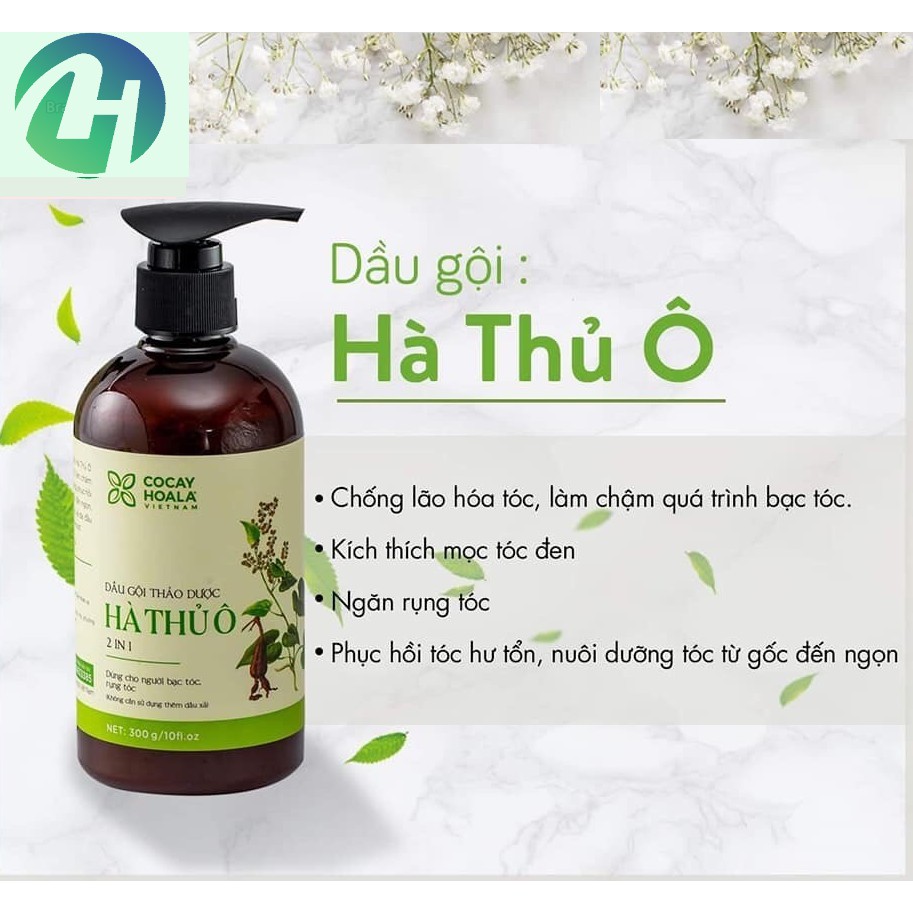 COMBO Dầu Gội Hà Thủ Ô - Sữa Tắm Gừng Nghệ COCAYHOALA (300ml/chai)