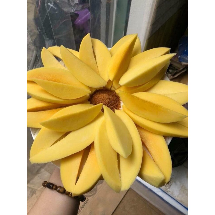 Xoài keo vàng sạch chuẩn ngon, trợ giá mùa dịch - HNH Food Farm