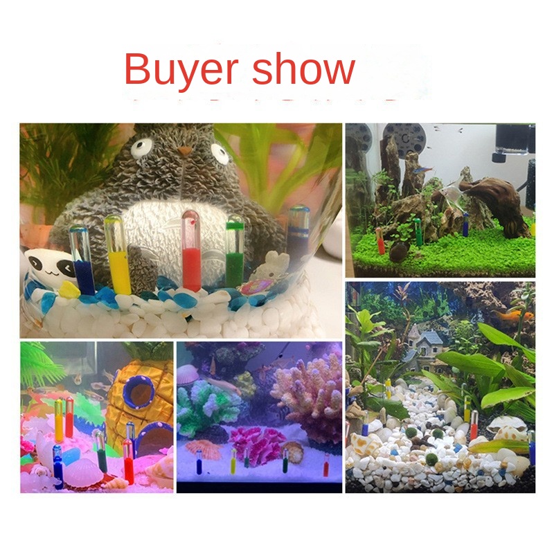 Bình Thủy Tinh Trang Trí Bể Cá