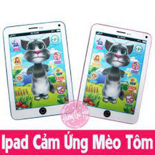 Ipad mèo tom