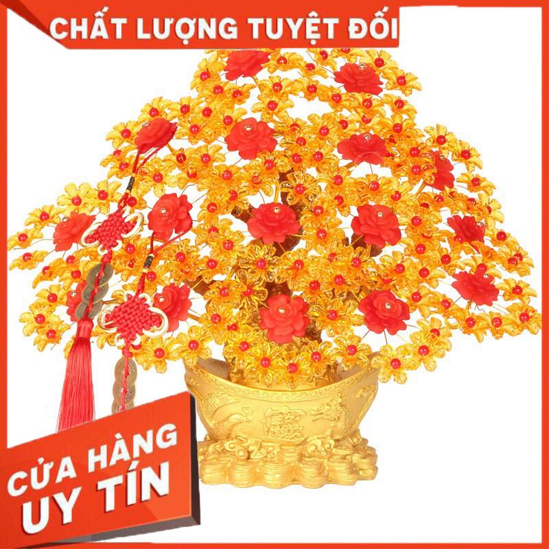 [ Bán Lẻ Giá Sỉ ] Cây Mai Trang Trí, Cây Kim Tiền Tài Lộc Để Bàn Trang Trí Cho Tết 2021, Mẫu Hót Cho Tết 2021