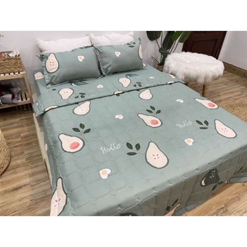 Bộ cotton poly 5 món chăn hè
