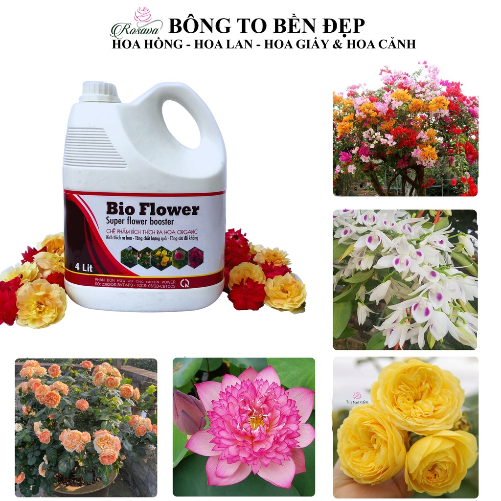 Phân bón hữu cơ vi sinh kích thích ra hoa Rosava can 4L rẻ cho cây cảnh, hoa hồng, hoa giấy, hoa lan, sen đá