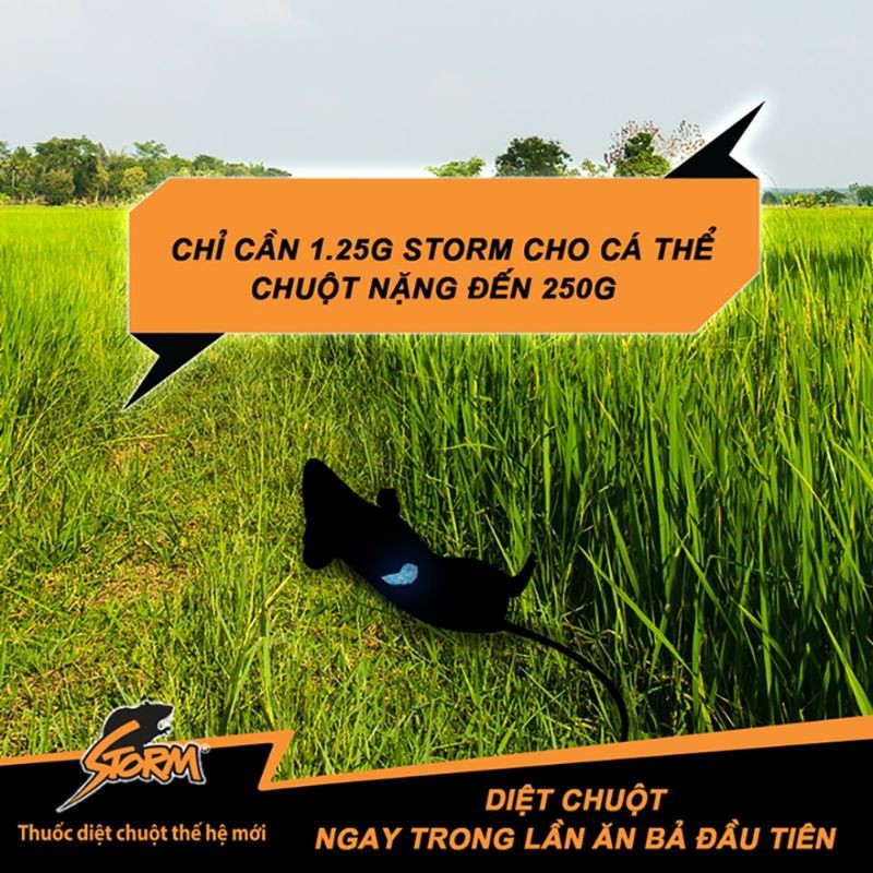 (Rẻ vô địch)20 viên kẹo diệt chuột đức