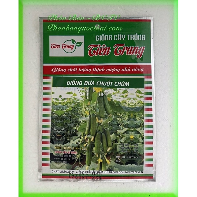HẠT GIỐNG DƯA CHUỘT CHÙM SIÊU QUẢ