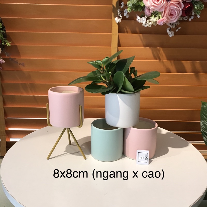 Chậu mini trụ tròn 8x8cm, chậu trồng cây sen đá xương rồng