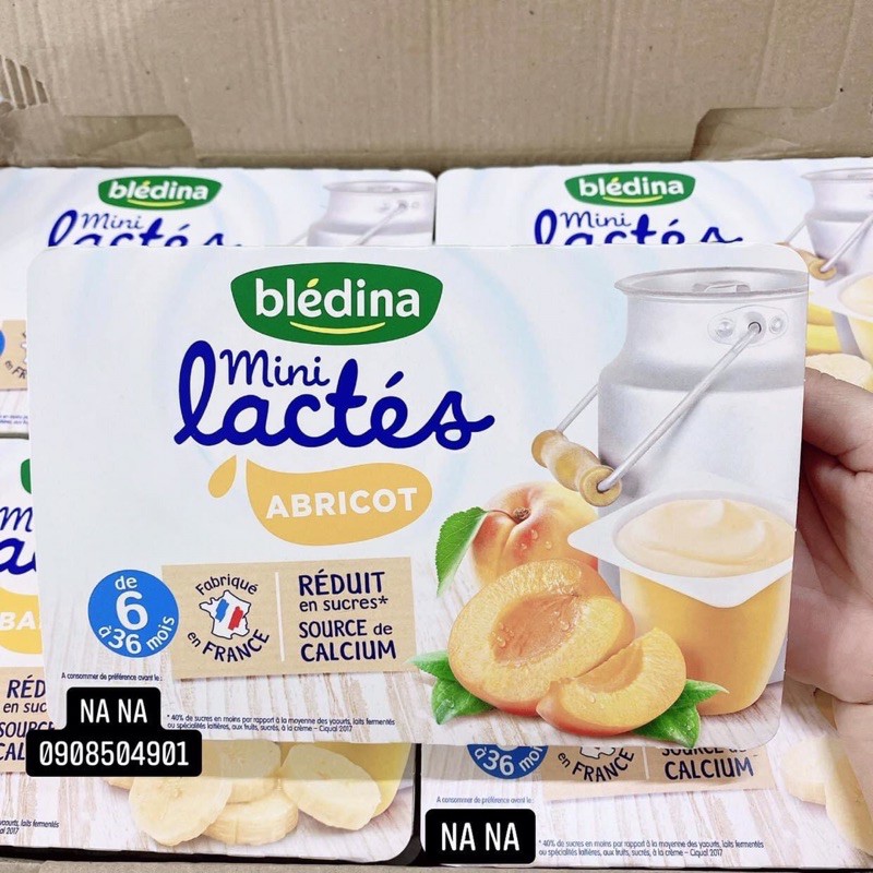 SỮA CHUA BLEDINA MINI LACTES NHIỀU VỊ