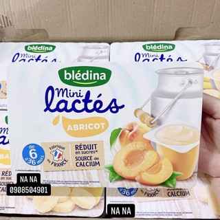 SỮA CHUA BLEDINA MINI LACTES NHIỀU VỊ