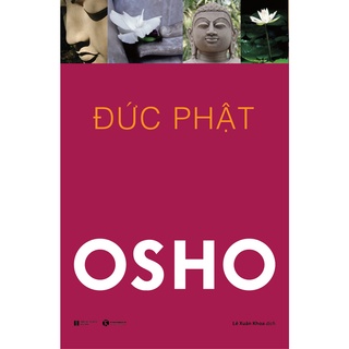 Sách - Combo 5 cuốn sách của Osho
