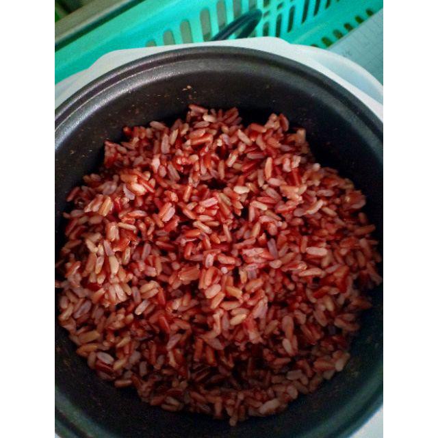 Nồi cơm điện mini cao cấp 1.2L UXUE B12 | BigBuy360 - bigbuy360.vn