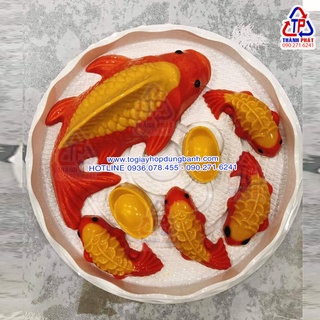 25 Hộp H40 đựng bánh bông lan 25cm - Hộp đựng rau câu 3D - Hộp đựng rau câu cá chép