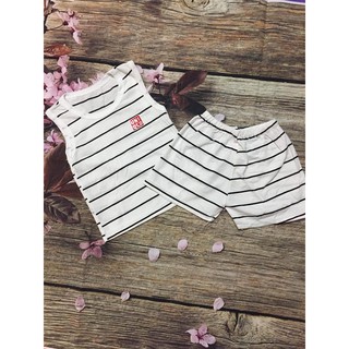 vải cotton set 10 bộ