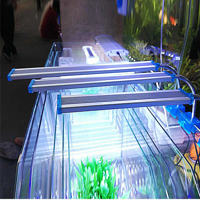 Đèn led kẹp máng nhôm cho hồ thủy sinh, hồ cá để bàn