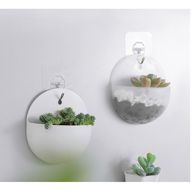 Chậu cây treo tường trang trí bằng nhựa (mẫu tròn) | Shopee Việt Nam
