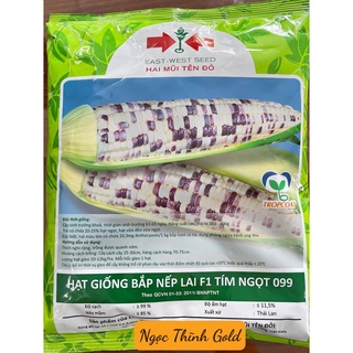 Hạt giống bắp nếp lai f1 tím ngọt 099 _hai mũi tên đỏ