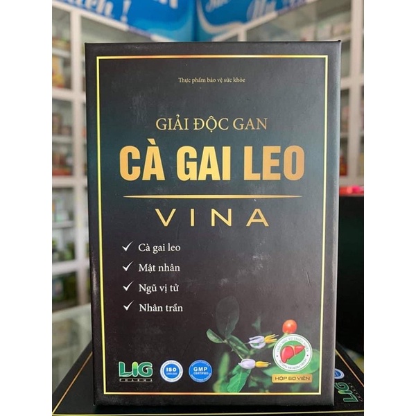 Cà gai leo Vina (mua 8 tặng 1)