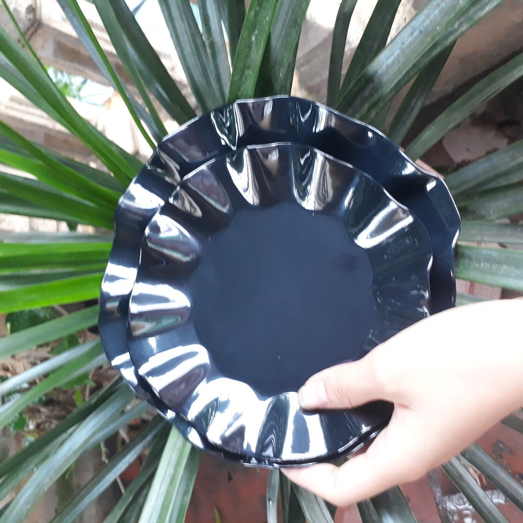 Đĩa phíp đựng hoa quả đồ ăn dạng Bèo cao cấp