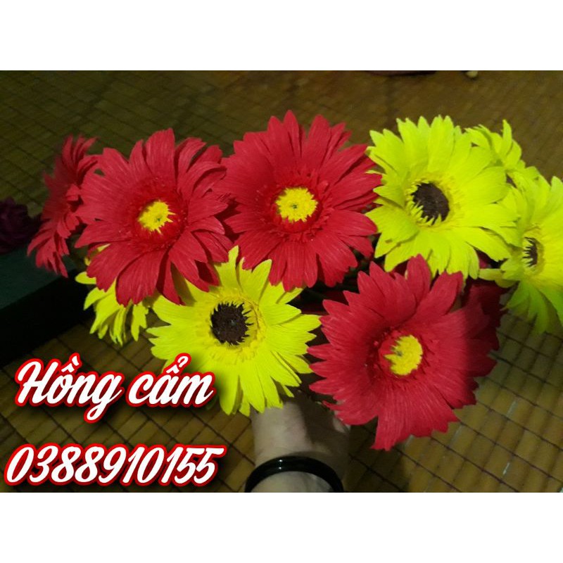 Hoa cúc đồng tiền giấy nhún ý