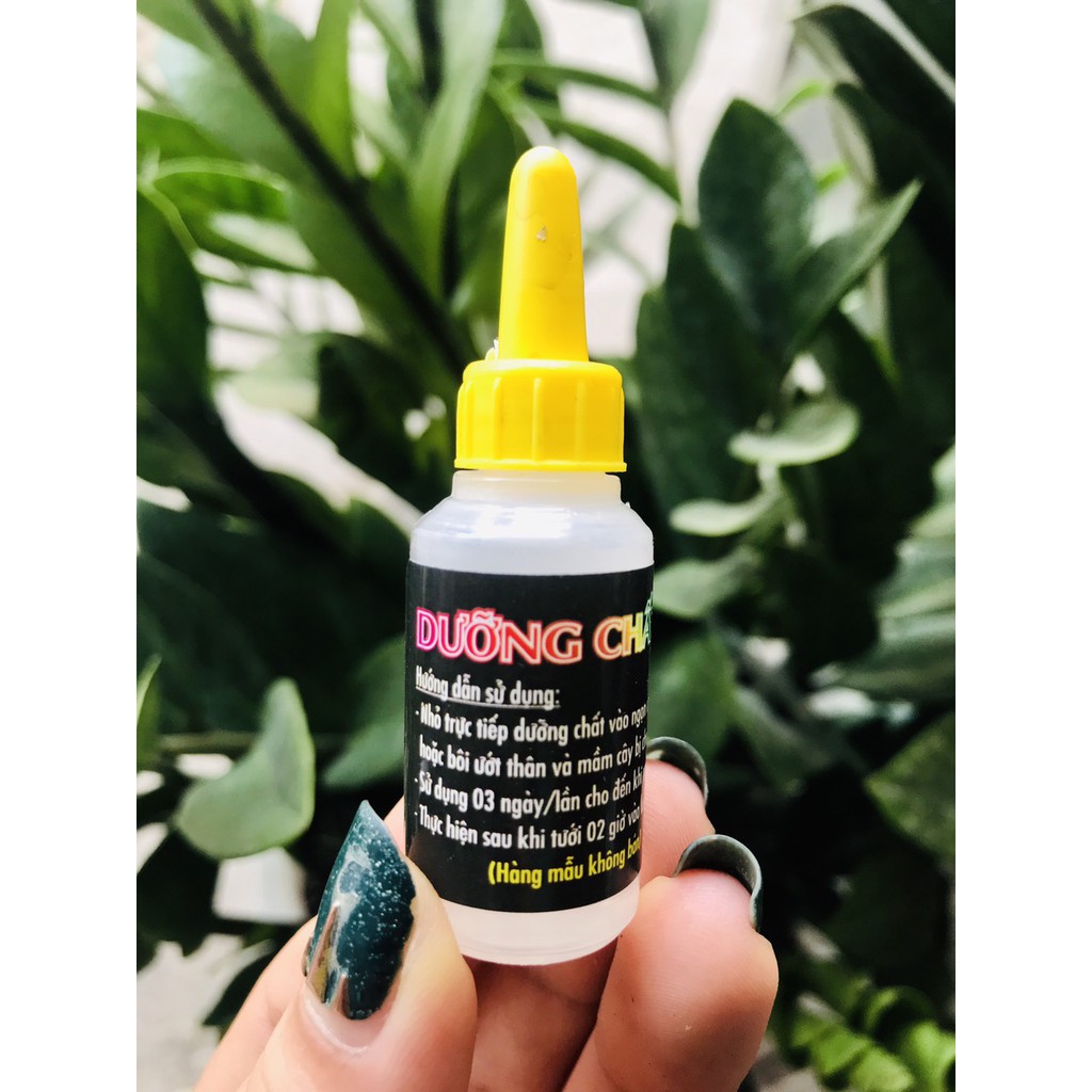 Dưỡng chất AB - Nuôi dưỡng mầm hoa (10ml)