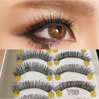 Mi giả Đài Loan, Mi số Y66 gân thường  Mi tóc tự nhiên Mi lụa  Mi 3D