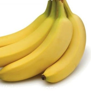 Cây giống chuối tiêu hồng nuôi cấy mô buồng dài