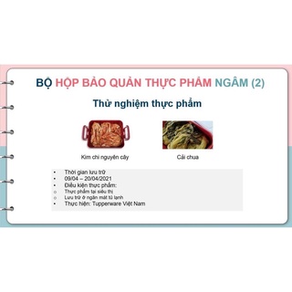 Bộ bảo quản thực phẩm ngâm Tupperware