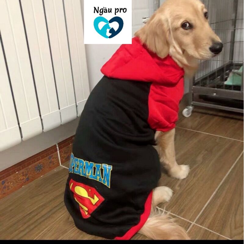 Áo cho chó lớn husky, golden, Alaska, Samoyed - Quần áo cho chó thú cưng in hình Siêu nhân SUPERMAN full size S đến 7XL