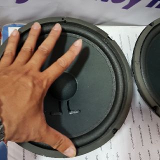 1 cặp BASS 25cm