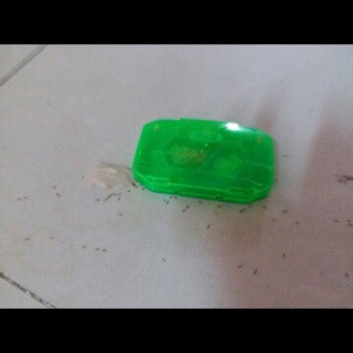 Thuốc diệt kiến Nhật