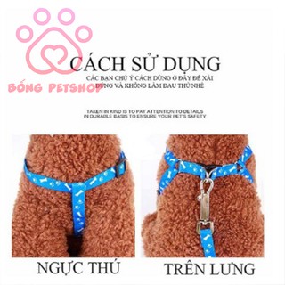 Dây dắt chó có yếm - Dây dắt yếm cho chó họa tiết đẹp