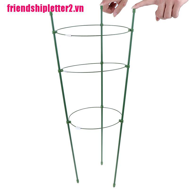 1 Khung Hỗ Trợ Trồng Cây Leo 60cm