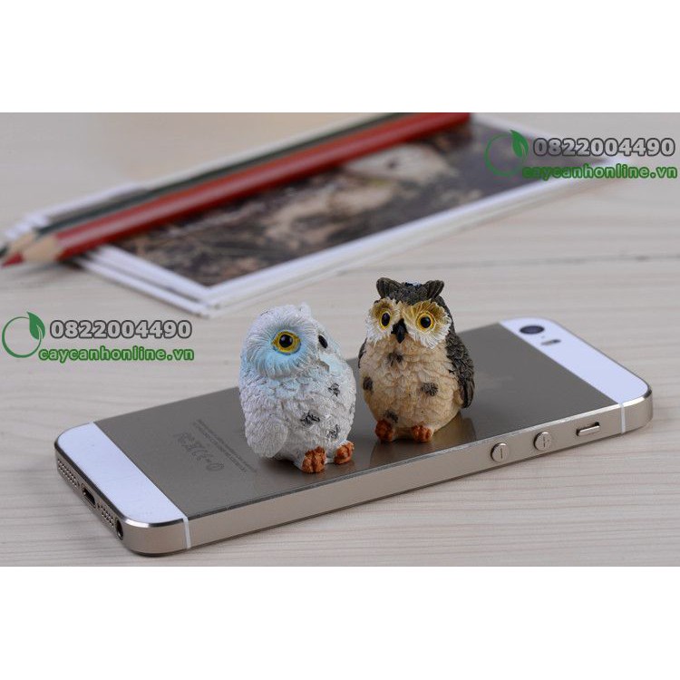 Chim cú mèo - tượng trang trí tiểu cảnh trang trí bàn làm việc - phụ kiện tiểu cảnh