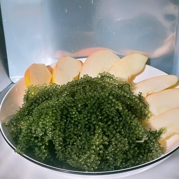 Combo 20 - 30 gói rong nho tách nước 100g nở 300g giá rẻ Shop Hana Farm