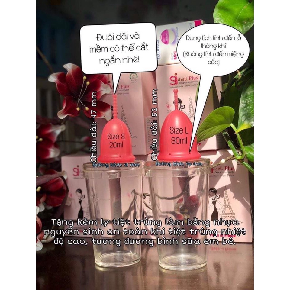 Cốc Nguyệt San SI-BELL Plus chính hãng thay thế băng vệ sinh