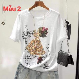 Combo khách sỉ
