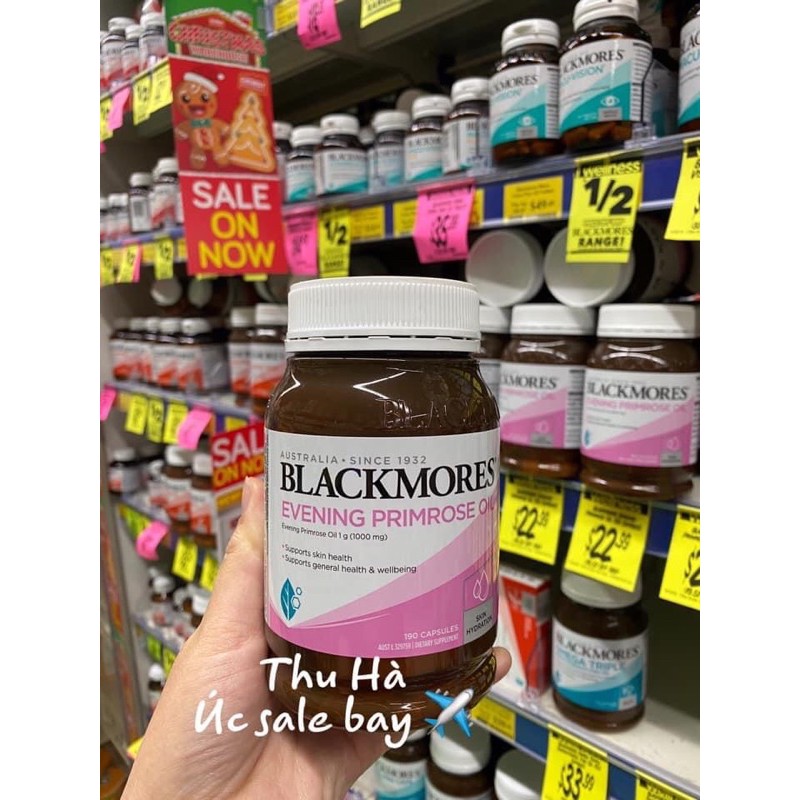 hoa anh thảo 125v/190v