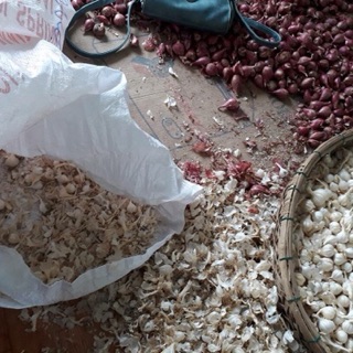 Tỏi 3-4 chính gốc Lý Sơn