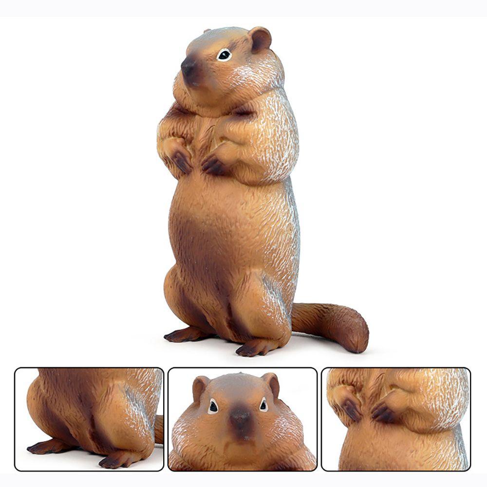 Mô Hình Marmot Sống Động Như Thật Cho Bé